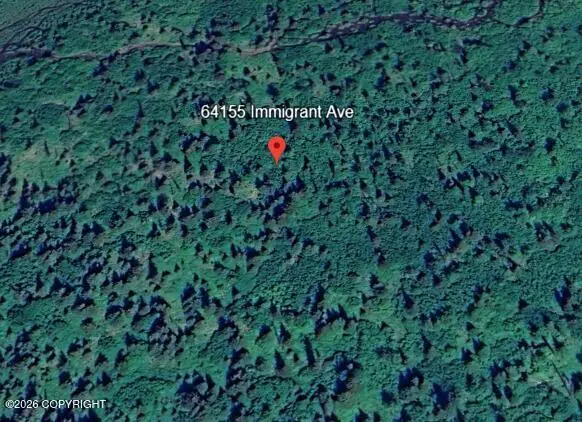 64155 Immigrant Avenue, Nikolaevsk, AK 99556 - #3