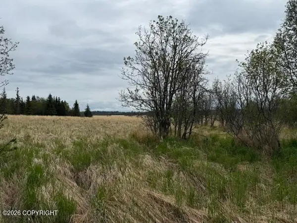 NHN Early Spring Street, Homer, AK 99603