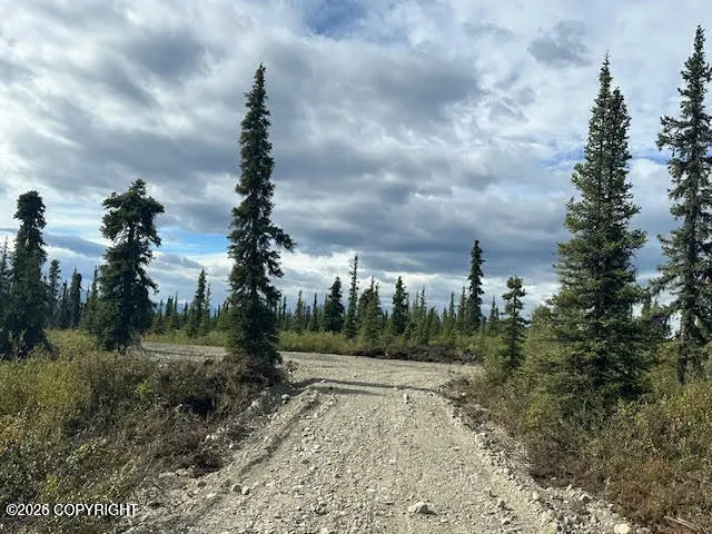 49668 S Timberwolf Road, Chickaloon, AK 99674 - #1