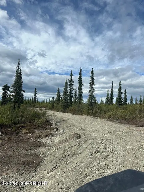 49668 S Timberwolf Road, Chickaloon, AK 99674 - #2