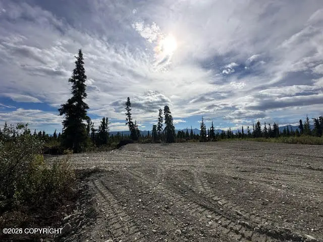 49668 S Timberwolf Road, Chickaloon, AK 99674 - #3