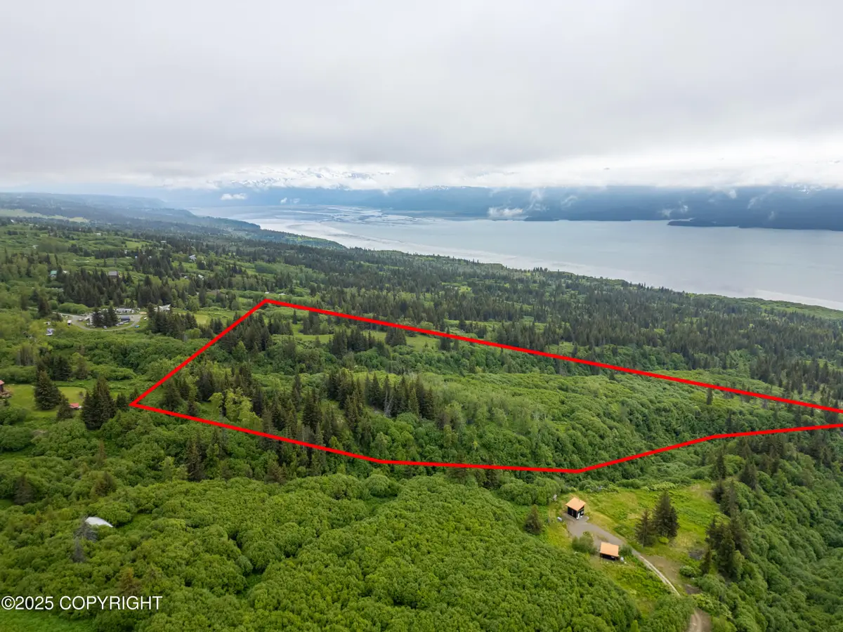 L2 Lupas Avenue, Homer, AK 99603 - #1