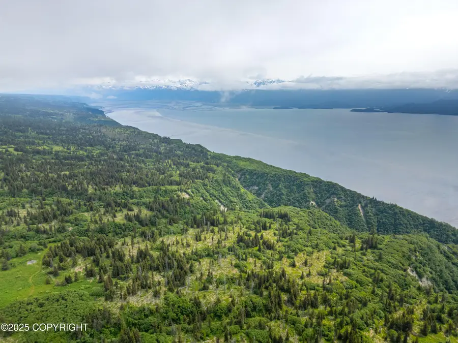 L2 Lupas Avenue, Homer, AK 99603 - #3