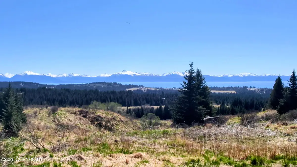 66711 Fry Court, Homer, AK 99603 - #1