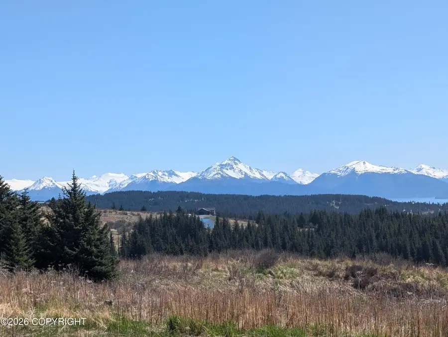 66711 Fry Court, Homer, AK 99603 - #2