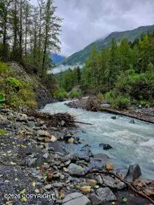 601 Crow Creek Mine Road, Girdwood, AK 99587 - #3