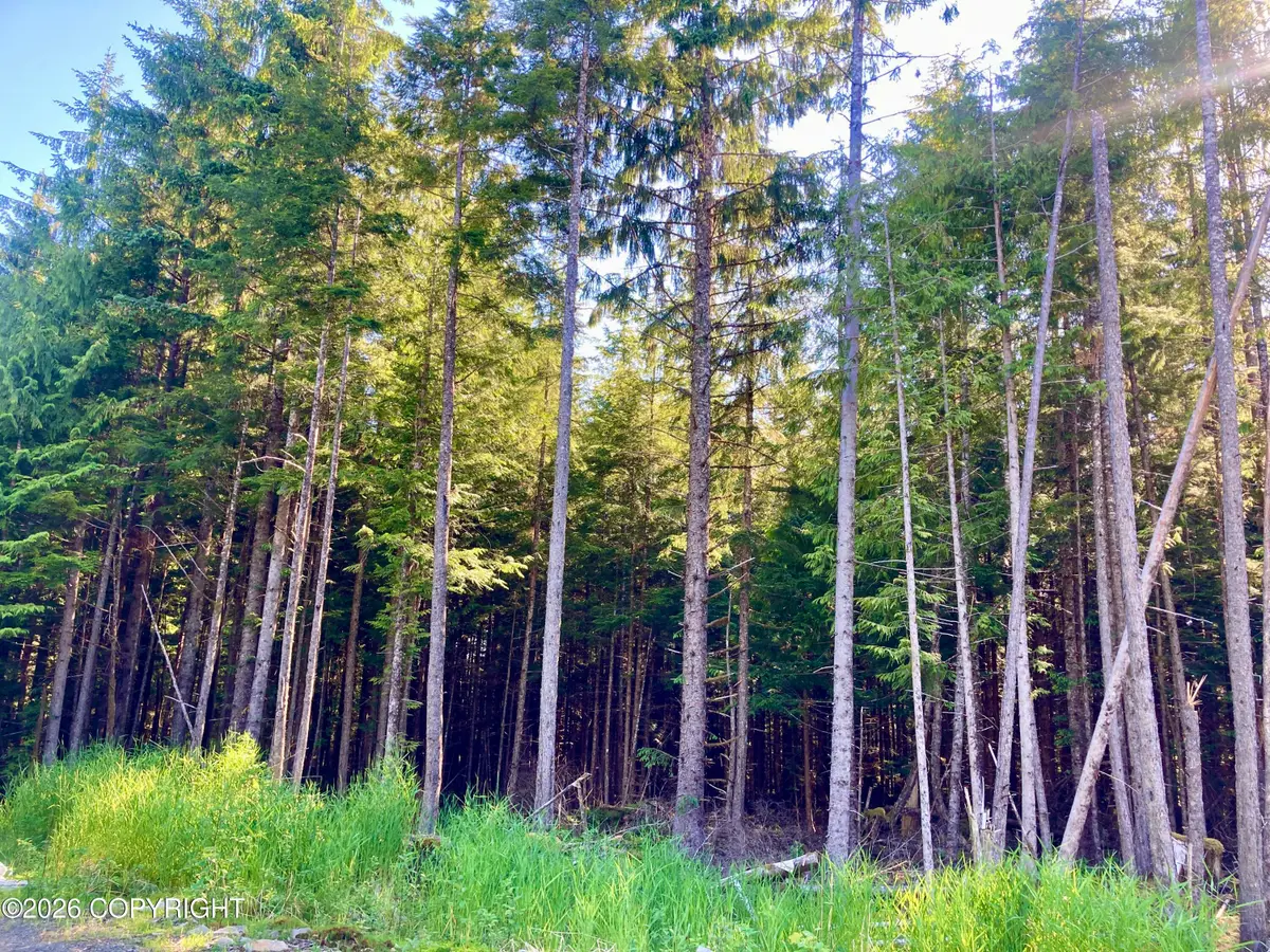 L2 Coffman Hwy, Coffman Cove, AK 99918 - #1