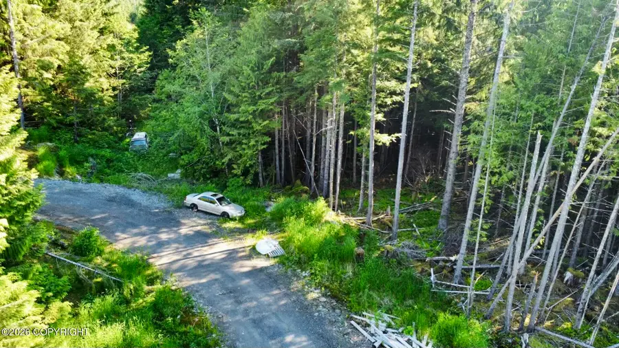 L2 Coffman Hwy, Coffman Cove, AK 99918 - #3