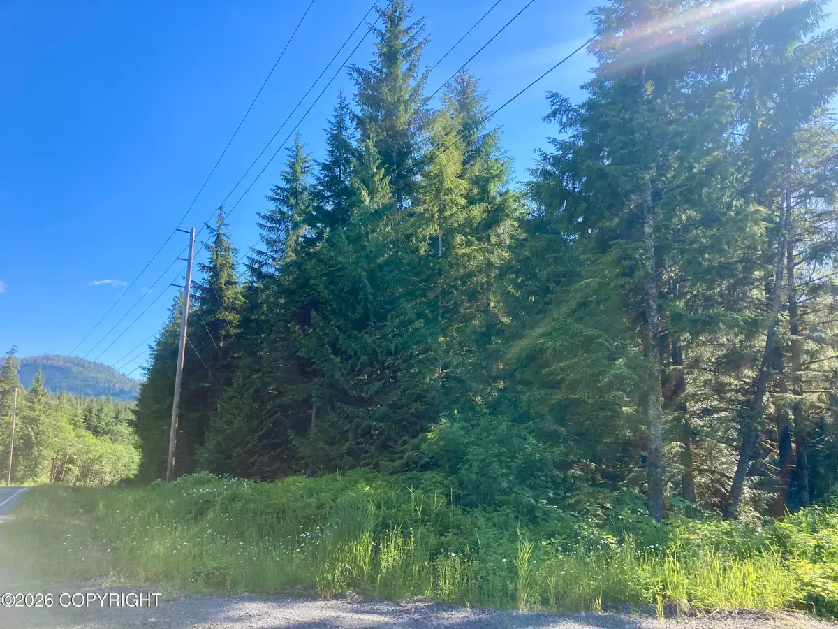 L1 Coffman Hwy, Coffman Cove, AK 99918 - #1