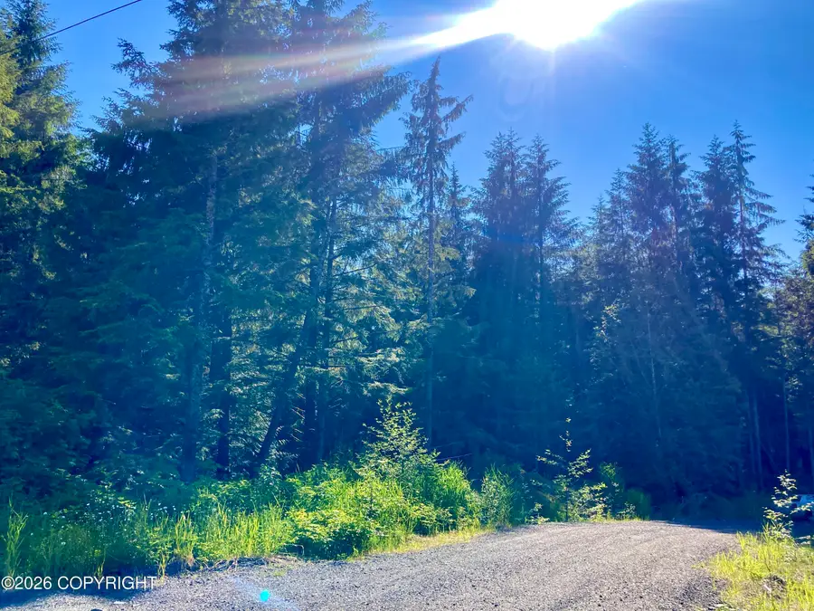 L1 Coffman Hwy, Coffman Cove, AK 99918 - #2