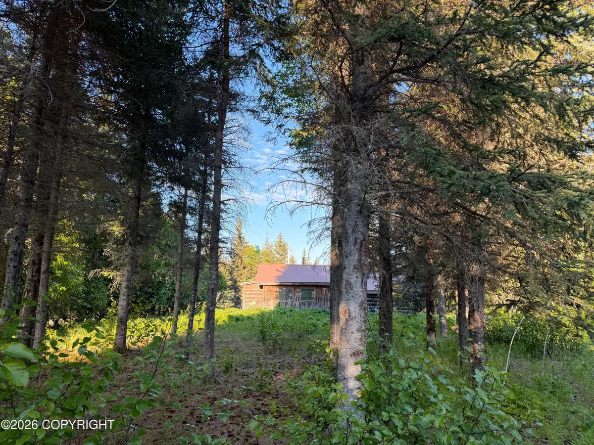 68355 Sunshine Drive, Ninilchik, AK 99639 - #1