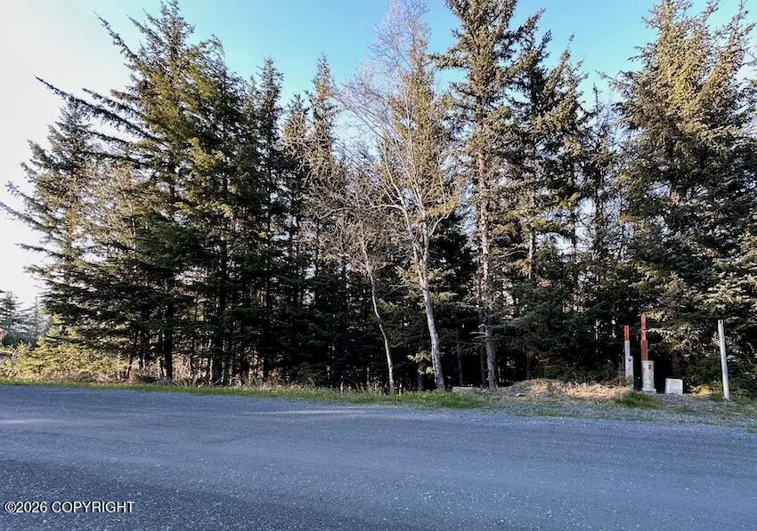 L8 B8 Skyline Drive, Haines, AK 99827 - #1