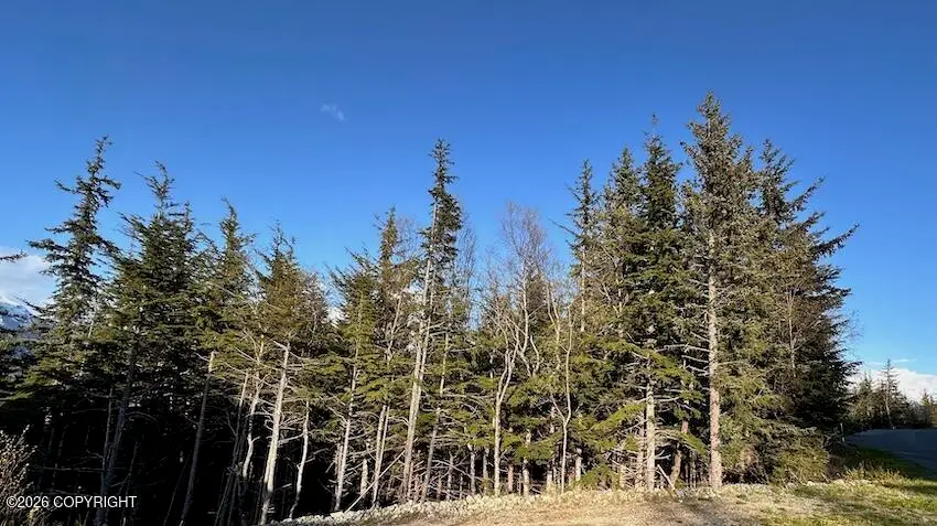 L8 B8 Skyline Drive, Haines, AK 99827 - #3