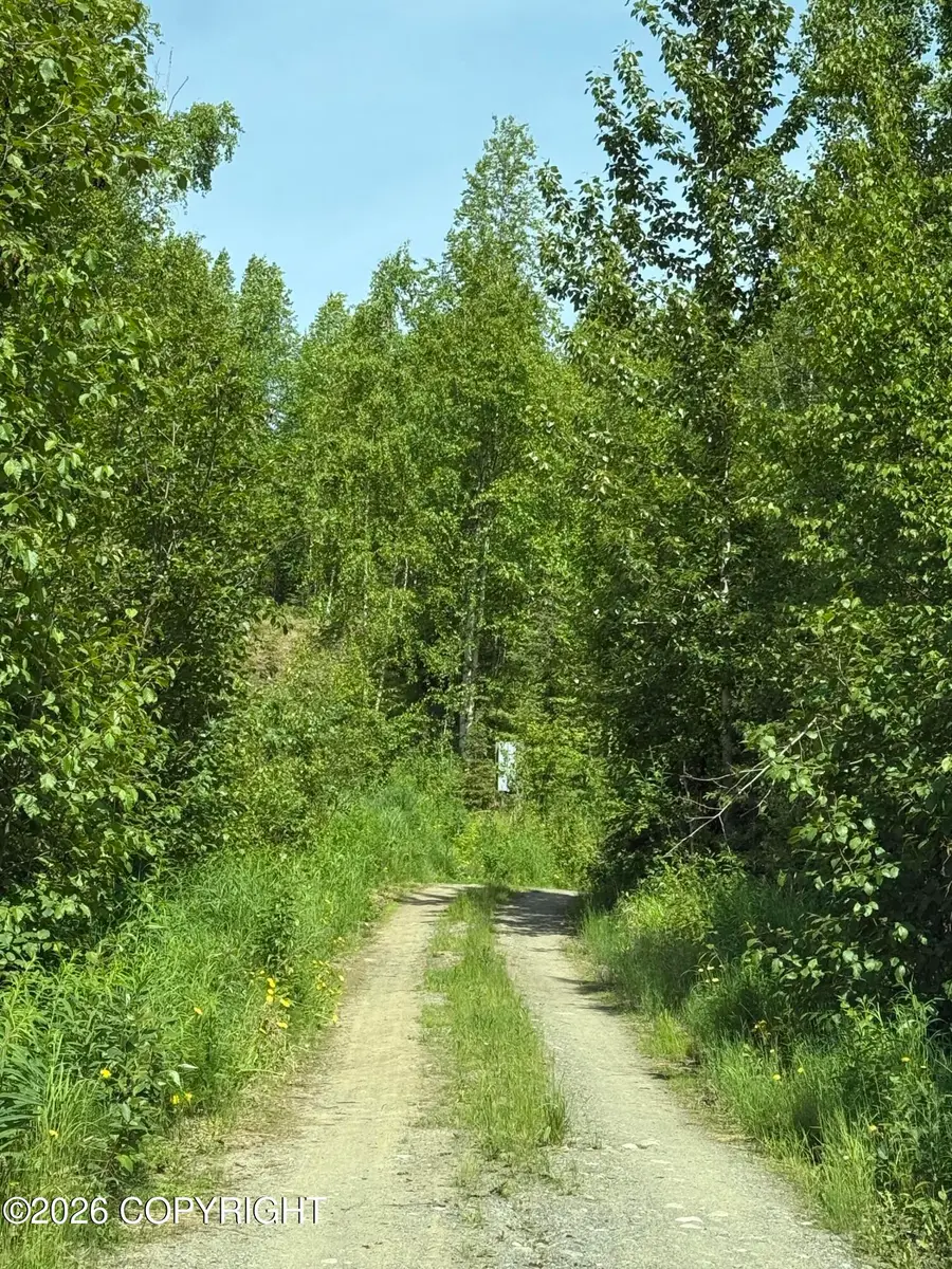 14045 W Aero Lane, Big Lake, AK 99623 - #2