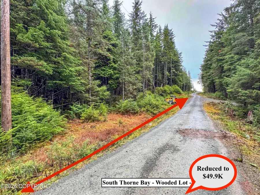 Lot10B18 Steep Road, Thorne Bay, AK 99919 - Image #2