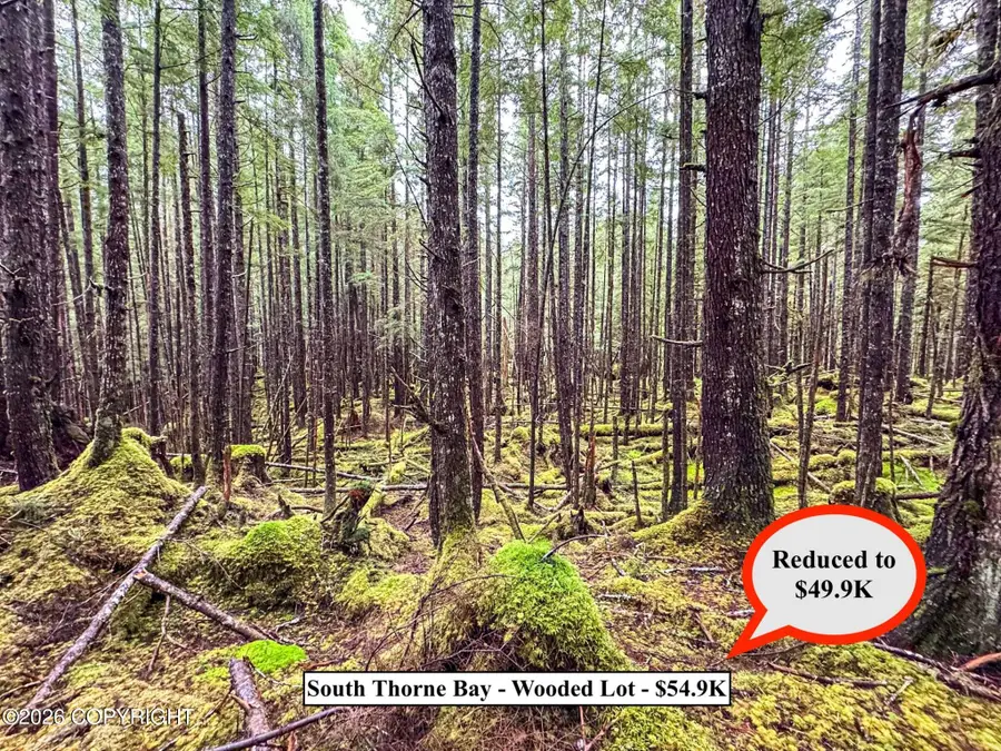 Lot10B18 Steep Road, Thorne Bay, AK 99919 - Image #3