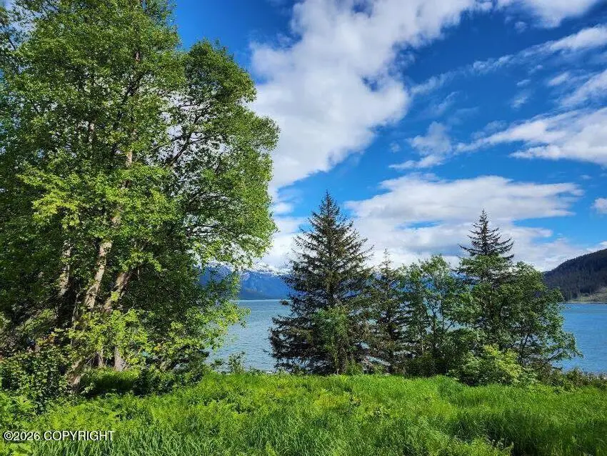 Lot 5 Barnett St Extension, Haines, AK 99827 - #2