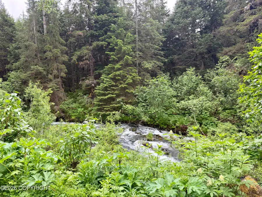165 Virgin Creek Road, Girdwood, AK 99587 - #2
