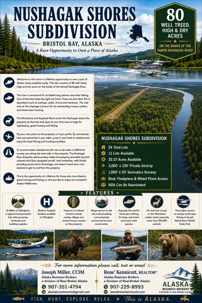 BLK1 LTP2 Nushagak Shores, Dillingham, AK 99576 - #2