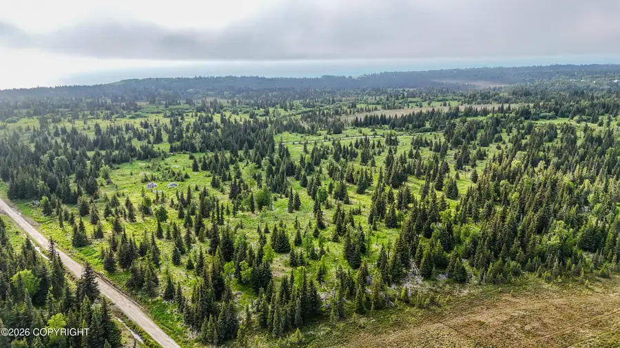 67212 Homestead Road, Ninilchik, AK 99639 - #2