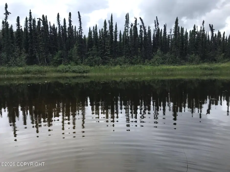 Tr F Trapper Lake (no Road), Matanuska Susitna, AK 99694 - #3