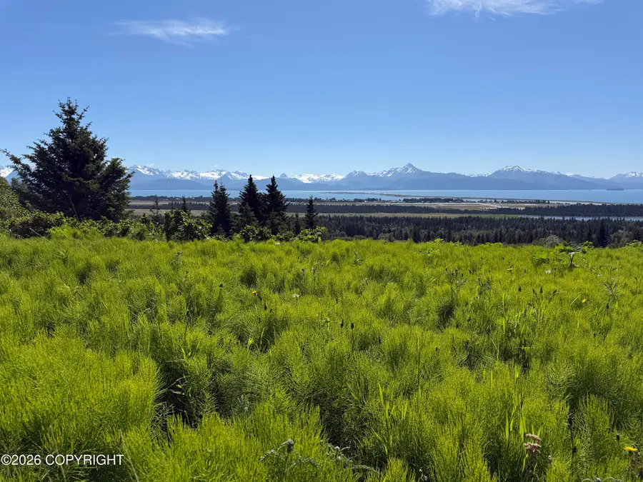 4690 Craftsman Road, Homer, AK 99603 - #2
