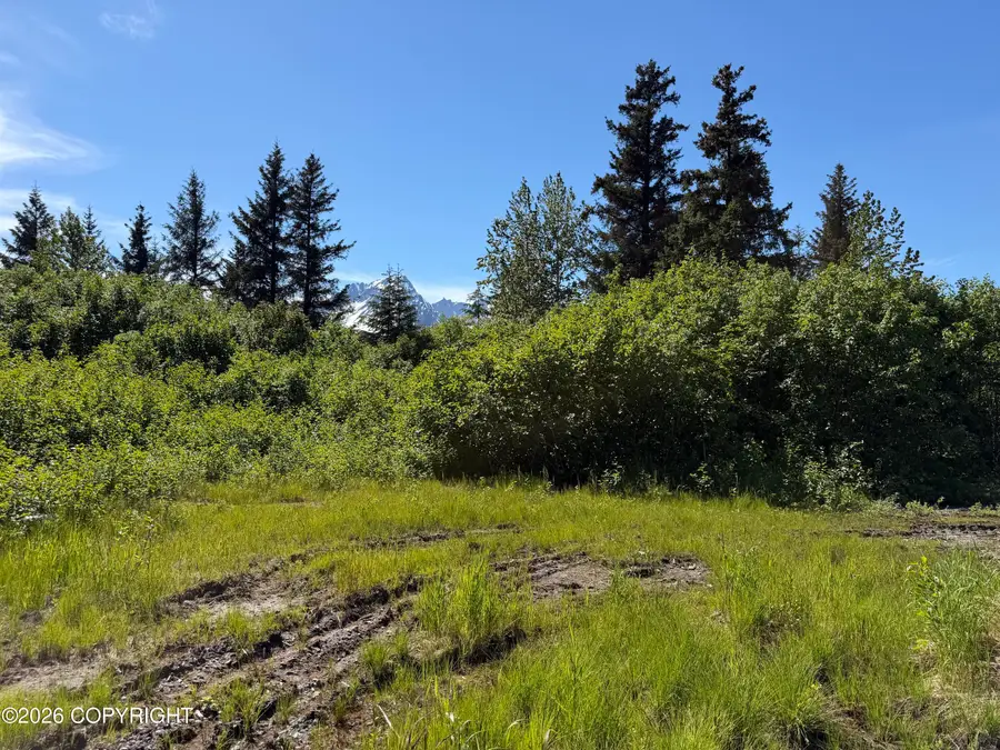 33123 Clyde King Road, Seward, AK 99664 - #2