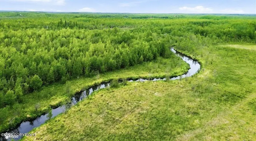 1557 S Birch Lake Drive, Big Lake, AK 99652 - #2