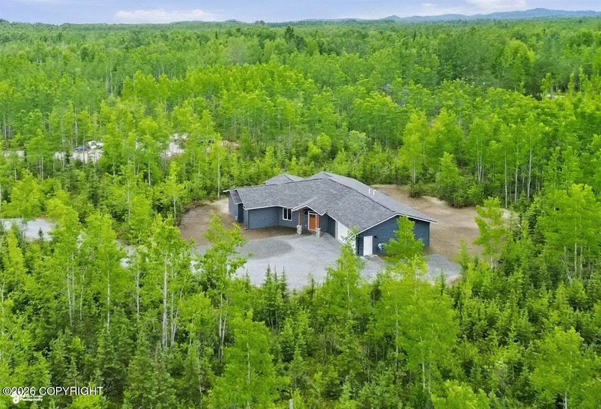 1584 S Birch Lake Drive, Big Lake, AK 99652 - #1