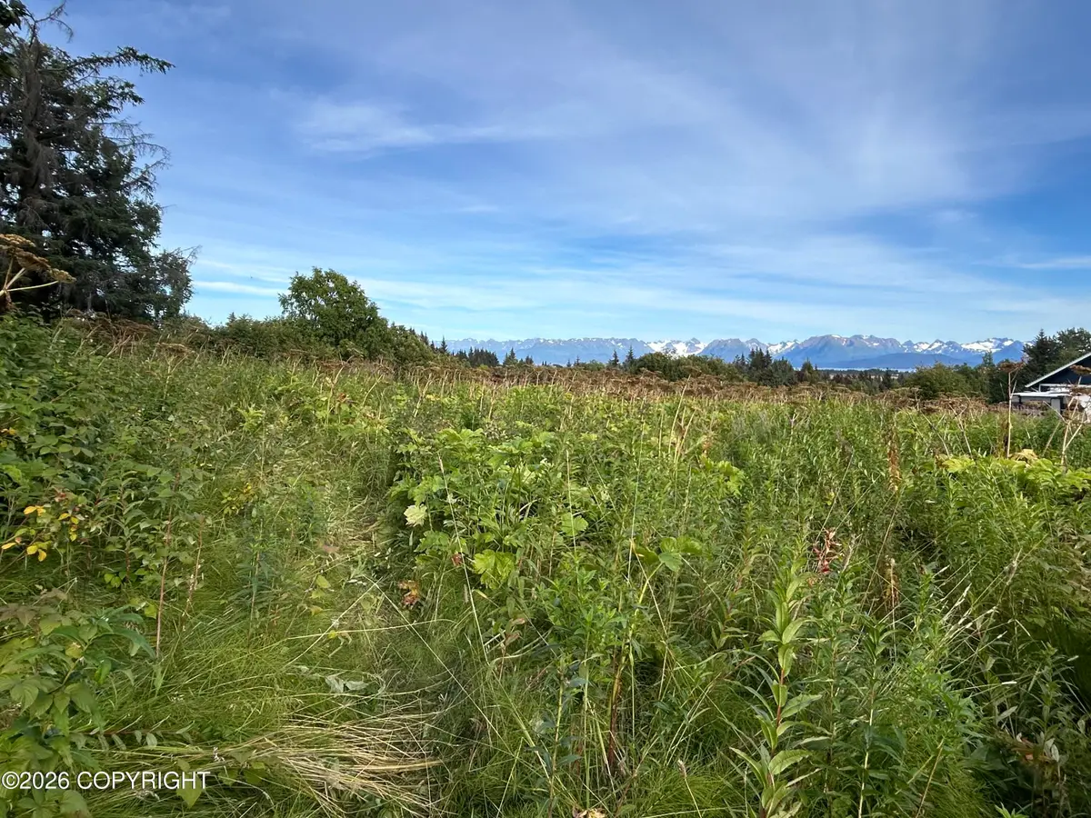 4560 Craftsman Road, Homer, AK 99603 - #1