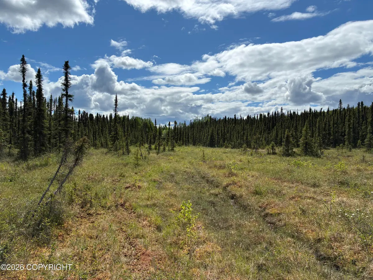 3846 N White Knight Drive, Wasilla, AK 99623 - #1