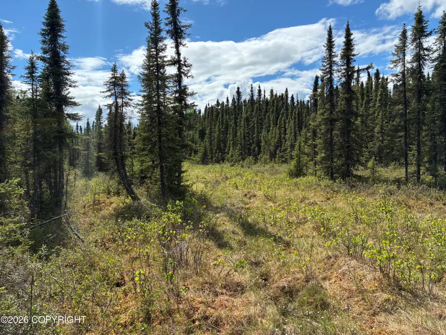 3846 N White Knight Drive, Wasilla, AK 99623 - #3