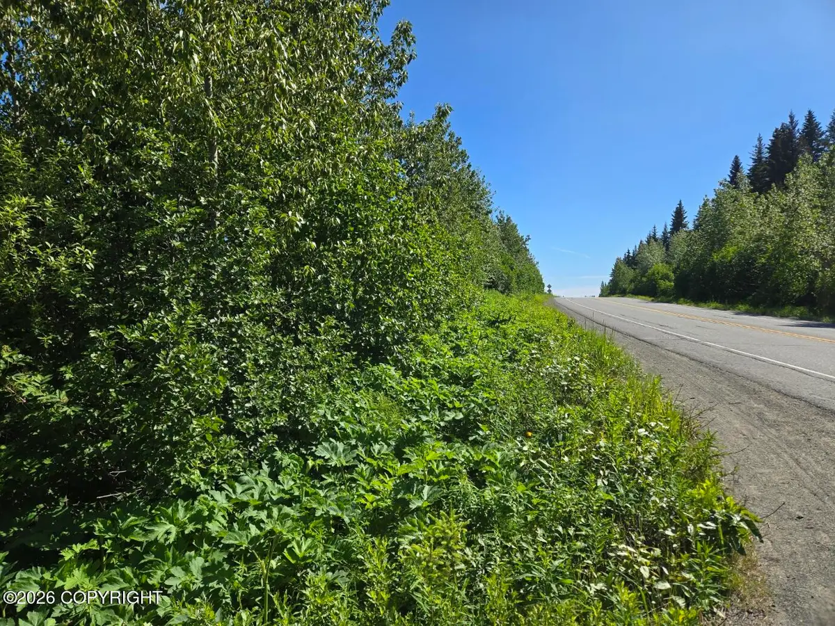34700 Sterling Highway, Anchor Point, AK 99556 - #1
