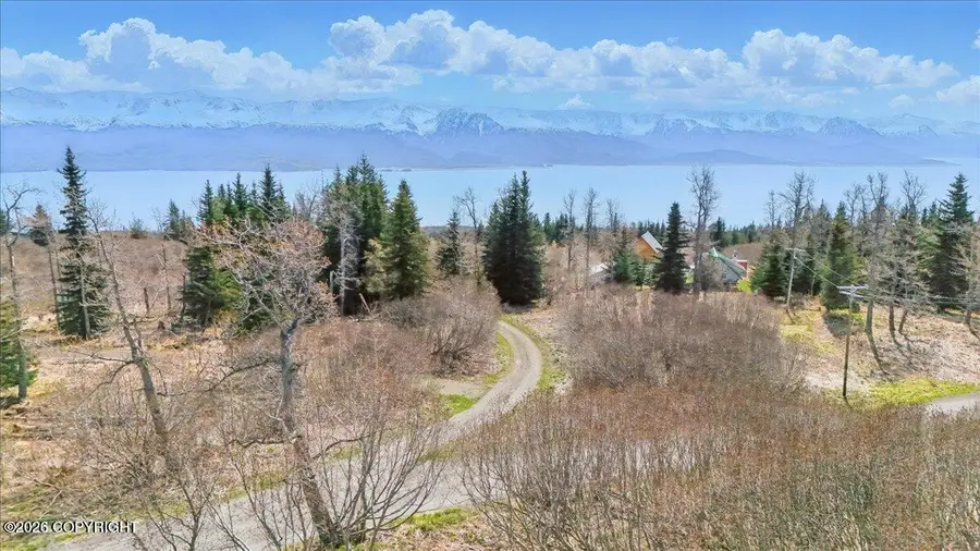 35735 Cloverdale Circle, Homer, AK 99603 - #3