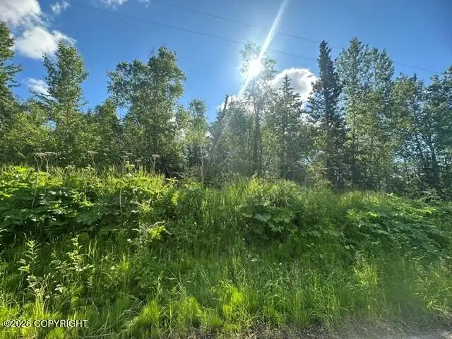 1431 N Branding Iron Lane, South Lakes, AK 99645 - #1