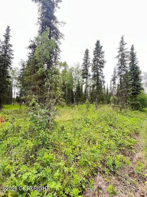 L2 Madsen Avenue, Kasilof, AK 99610 - #3