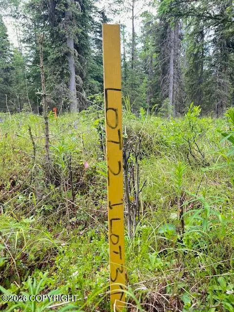 L3 Madsen Avenue, Kasilof, AK 99610