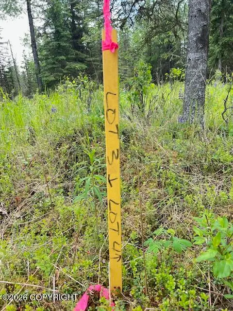 L4 Madsen Avenue, Kasilof, AK 99610 - #1