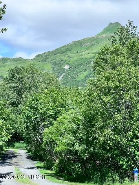 10797 Chiniak Drive, Kodiak, AK 99615 - #2