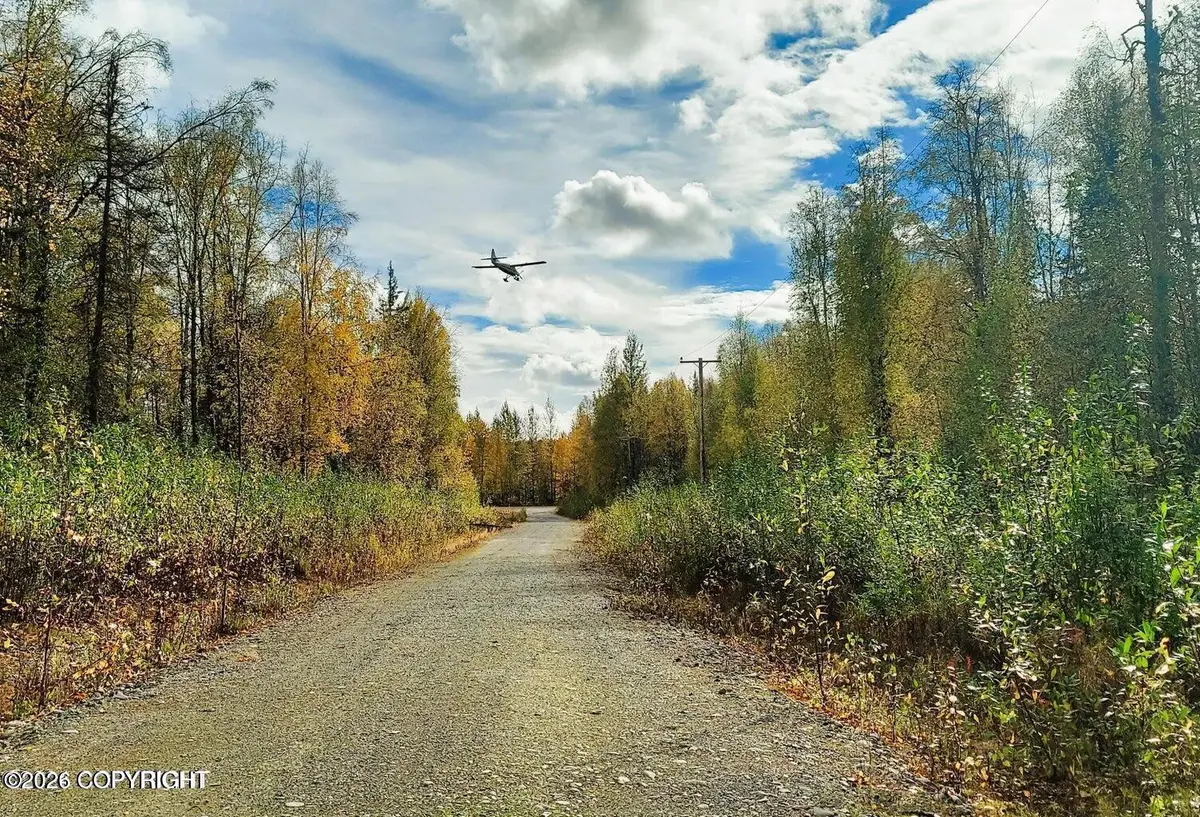 1884 S Clara Circle, Talkeetna, AK 99676 - #1