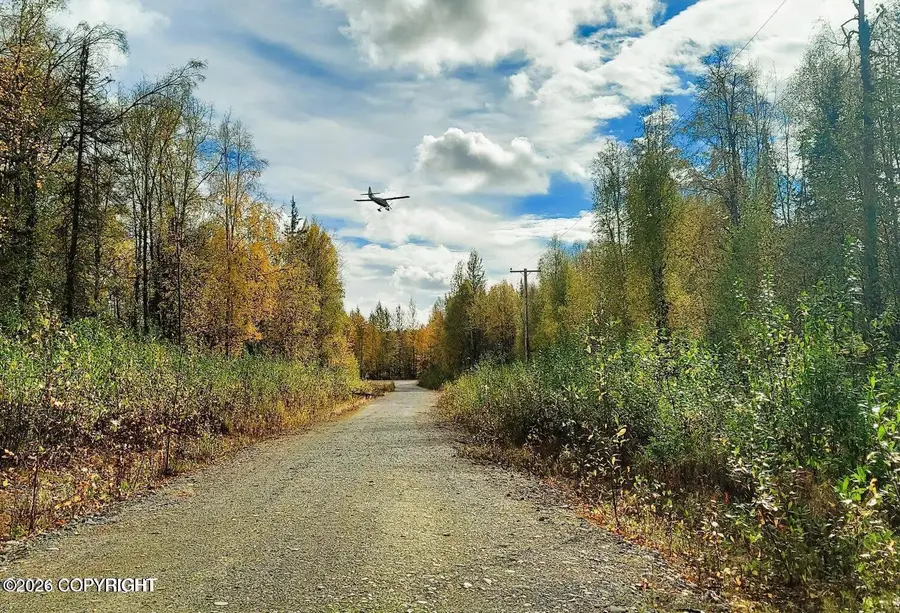 2007 S Clara Circle, Talkeetna, AK 99676 - #3