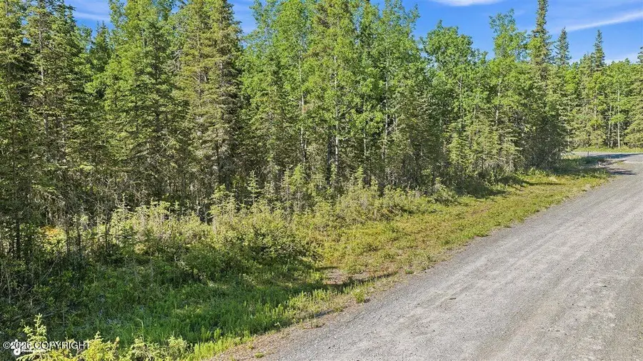 53635 Gerber Court, Kasilof, AK 99610 - #2
