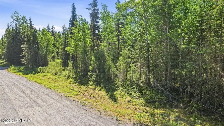 53635 Gerber Court, Kasilof, AK 99610 - #3