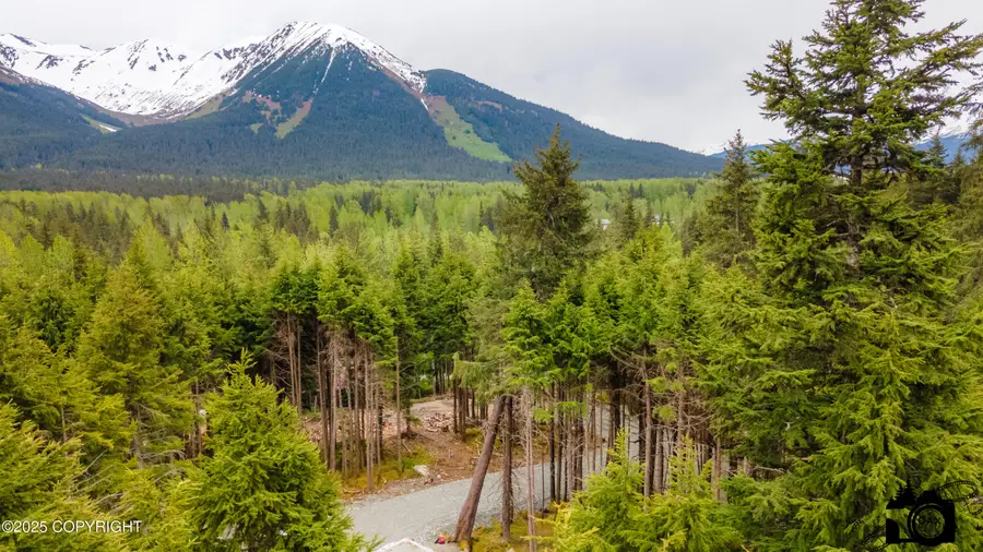 168 Meskenik Way, Girdwood, AK 99587 - #3