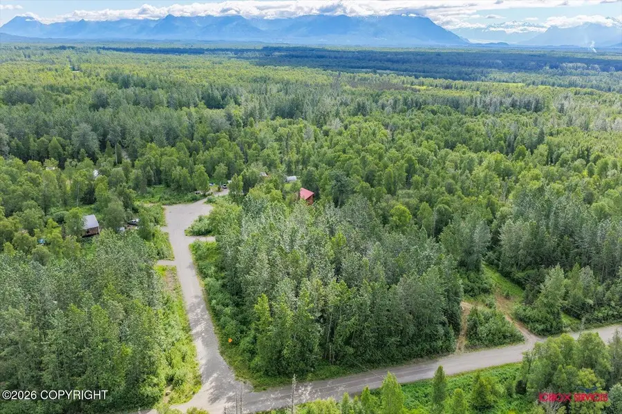 NHN E Ski Bunny Circle, Palmer, AK 99645 - #3