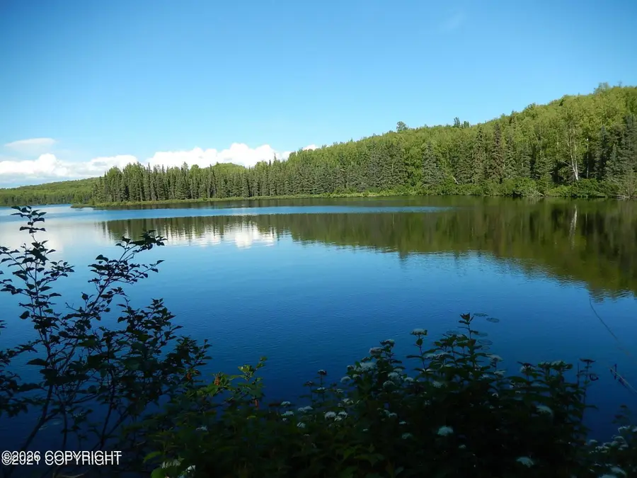 9535 N Nordic Street, Willow, AK 99688 - #2