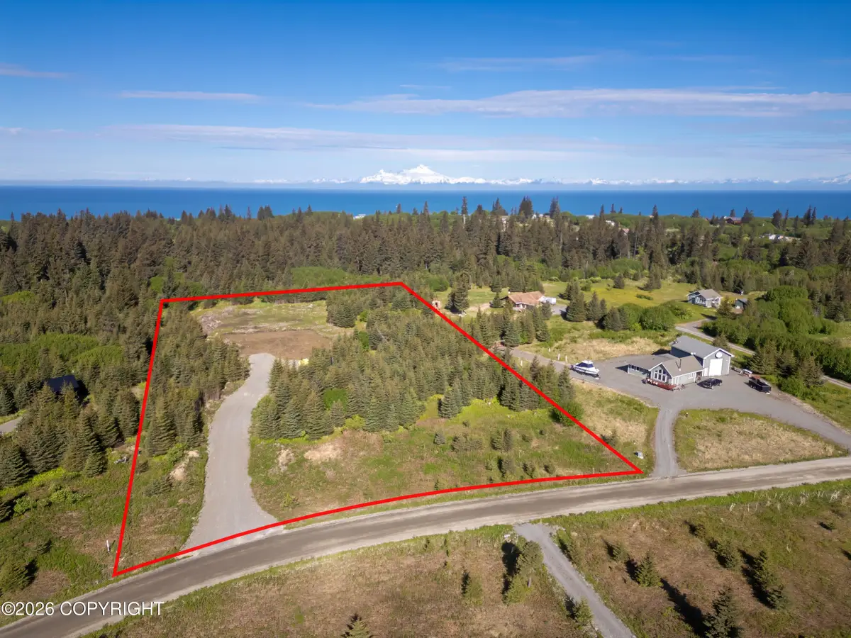 31735 Whiskey Gulch Street, Anchor Point, AK 99556 - #1