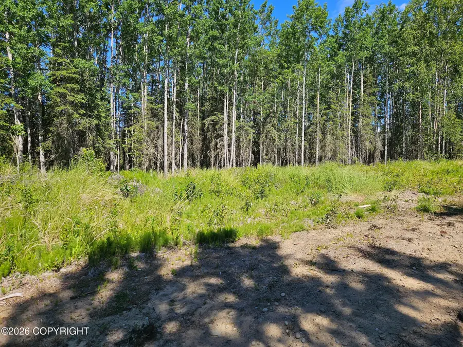 4210 N Lupine Drive, Kenai, AK 99611 - #2