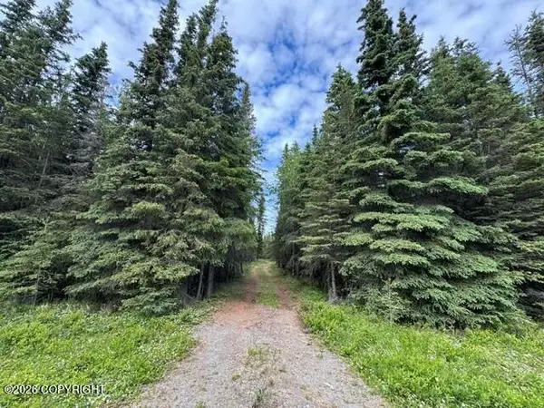 53880 Acy's Avenue, Kasilof, AK 99610