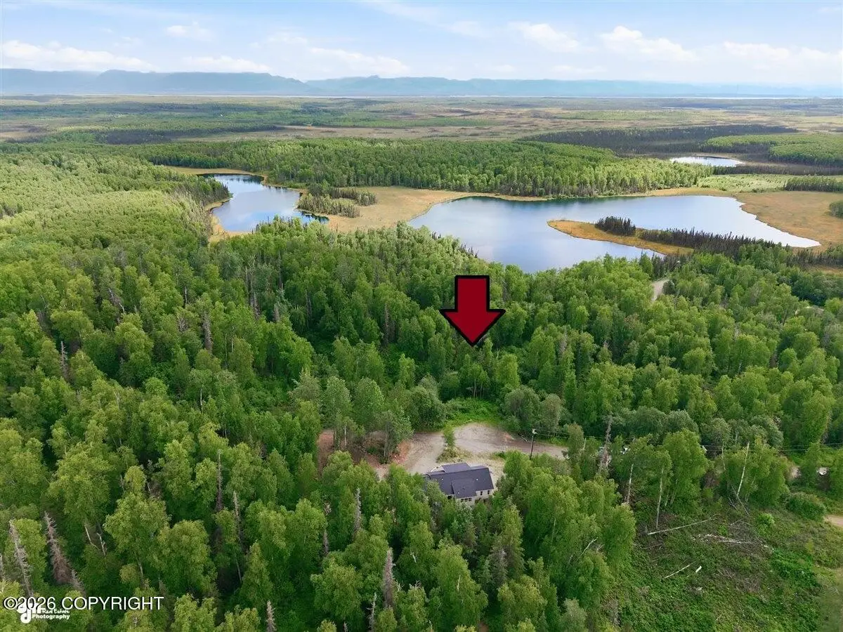17416 W Marion Drive, Big Lake, AK 99652 - #1